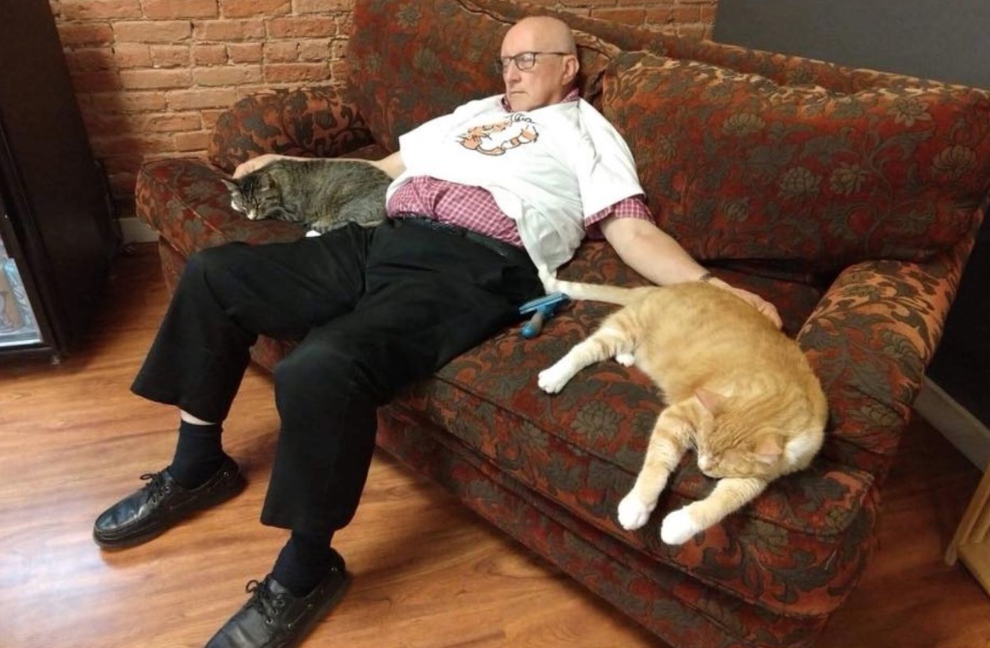 Napping with Sanctuary Cats